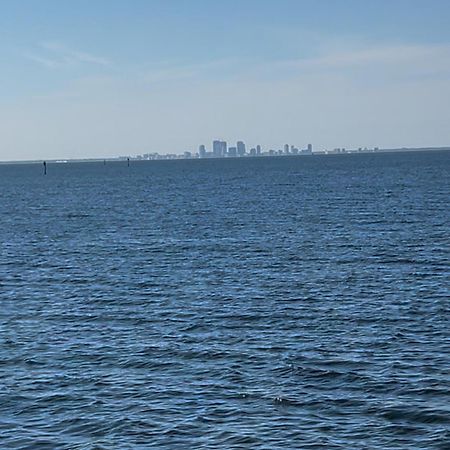 Come Stay Where The Dolphins Play! 拉斯金 外观 照片