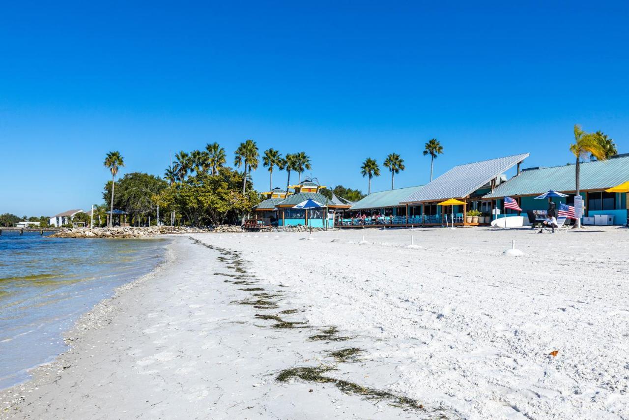 Come Stay Where The Dolphins Play! 拉斯金 外观 照片